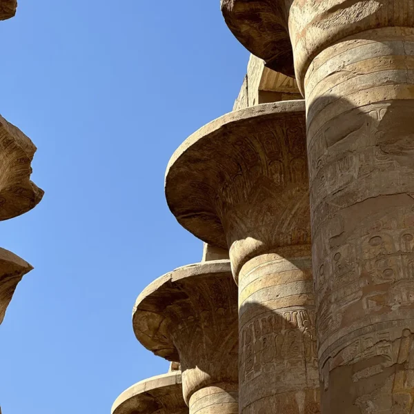 2023_02_28_03_44_IMG_9537