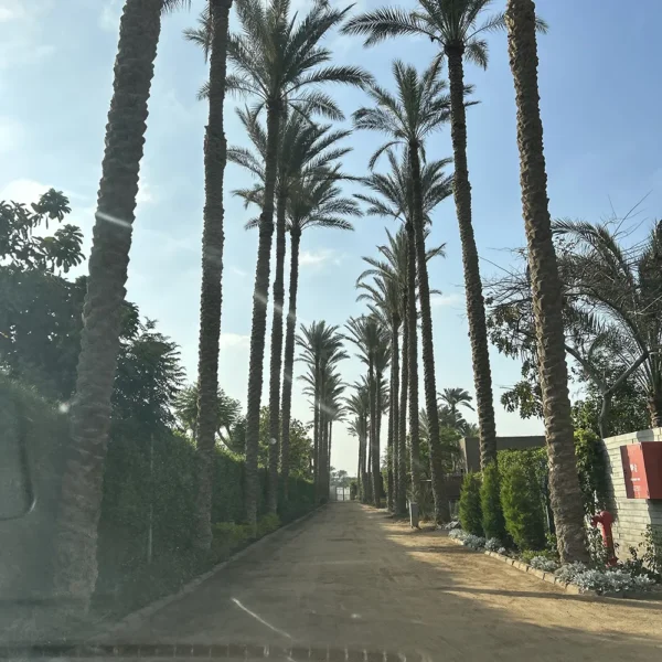 2024_04_28_21_57_IMG_5557