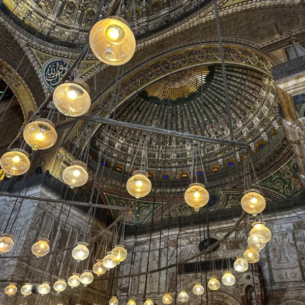 2025_02_11_11_20_IMG_0910