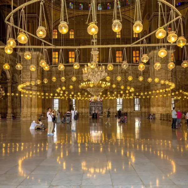 2025_02_11_11_20_IMG_0914